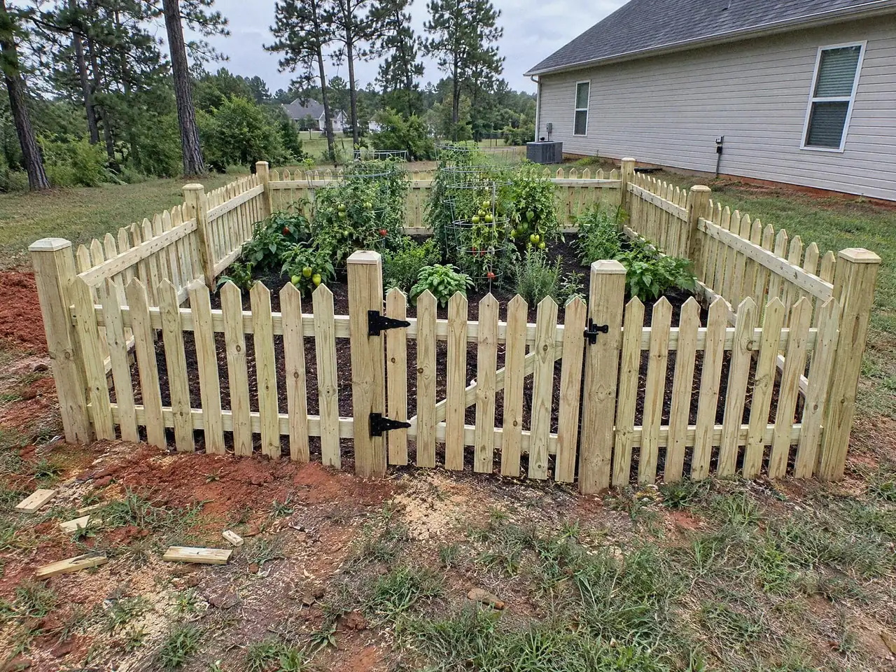 Natural wood picket fence with a small gate around a backyard vegetable garden
